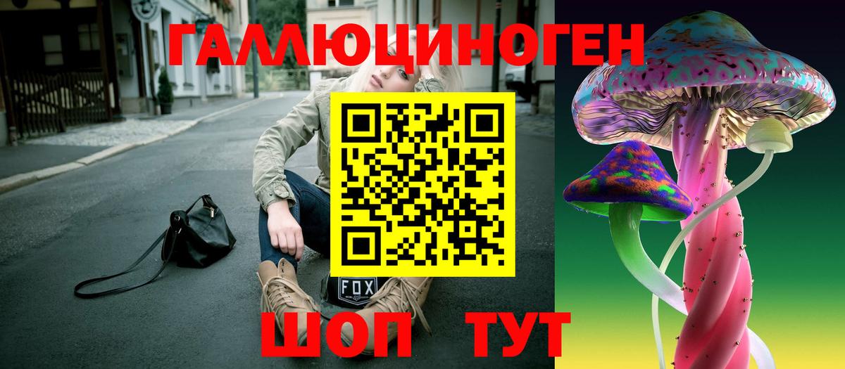 Псилоцибиновые грибы GOLDEN TEACHER Ухта