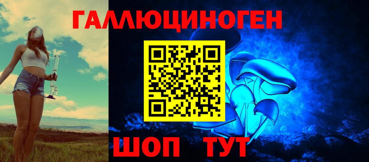 Ухта  Псилоцибиновые грибы Cubensis  Вход с VPN 